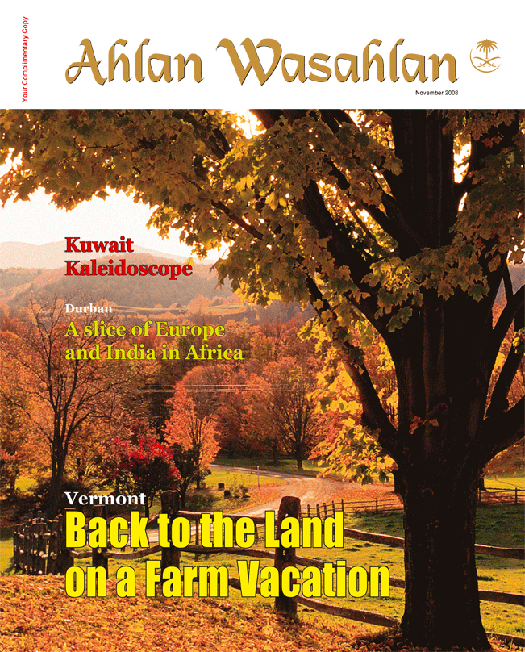 Nov.cover2