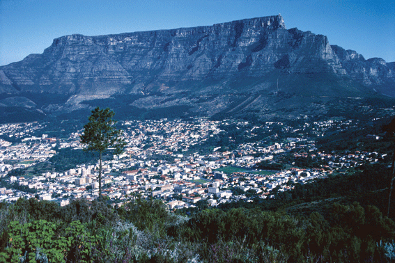 CapeTown1