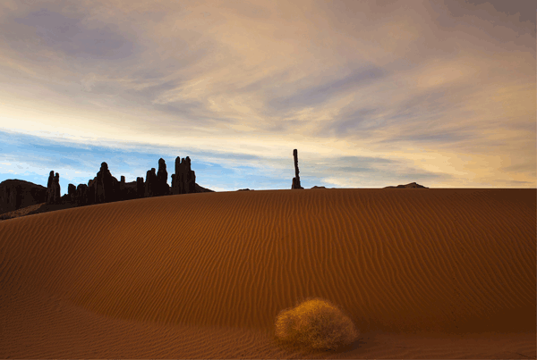 Pictures We Love: Invasion of the Tumbleweeds